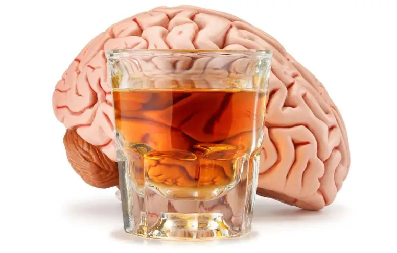 Brain Alcohol