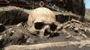 Bronze Age Skull Tollense Valley