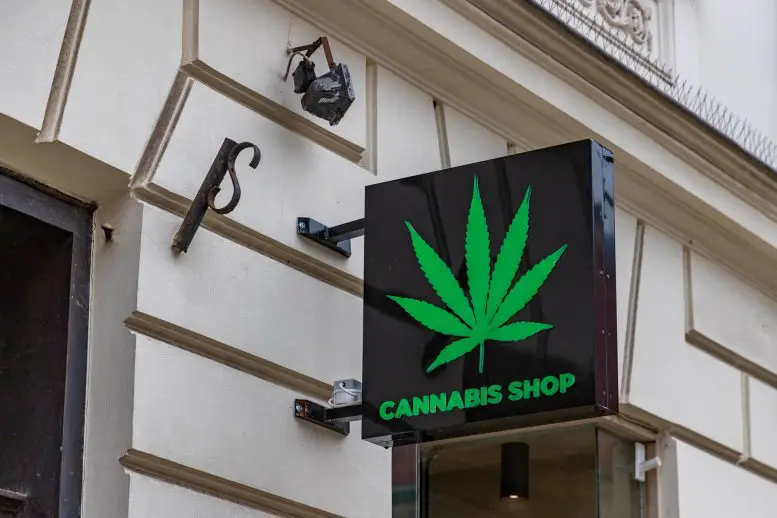 Cannabis Shop Storefront