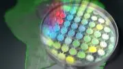 Fluorescence “Lifetime” Microscopy Technique
