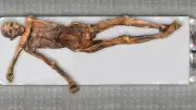 Neolithic Tyrolean Iceman “Ötzi”