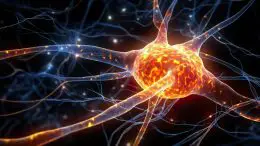 Neuron Brain Cell Disease