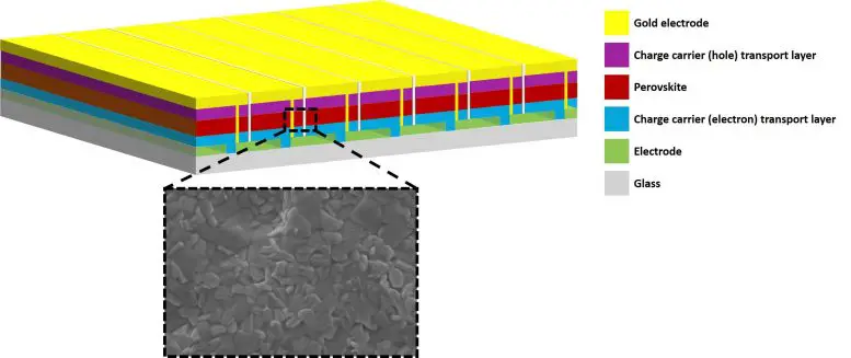 Perovskite Solar Module and Surface of Active Layer